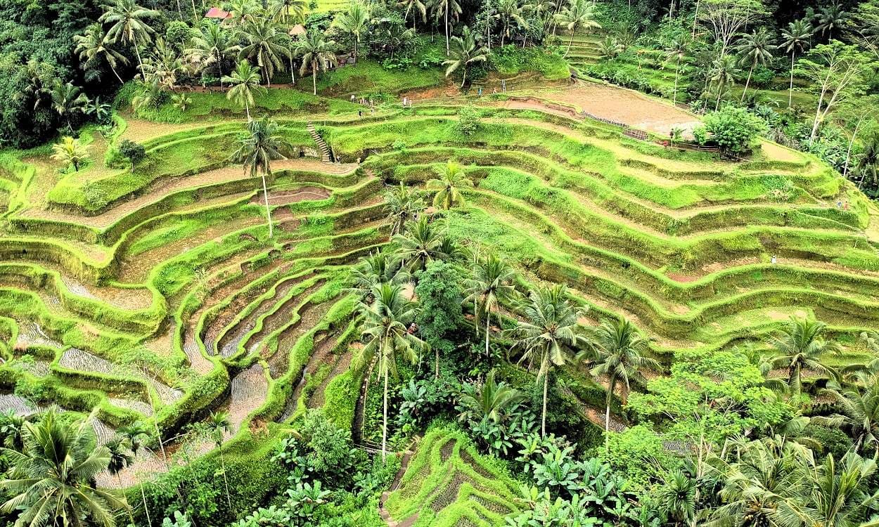 Pinjaman sertifikat rumah di Kabupaten Gianyar untuk kebutuhan dana tunai cepat